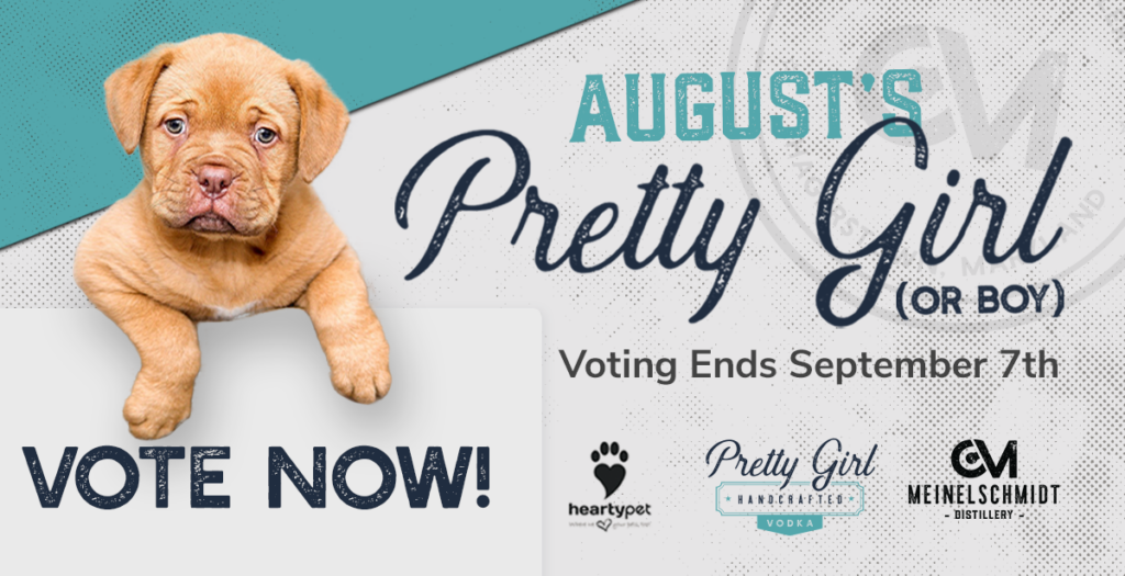 Pretty Girl Contest: August